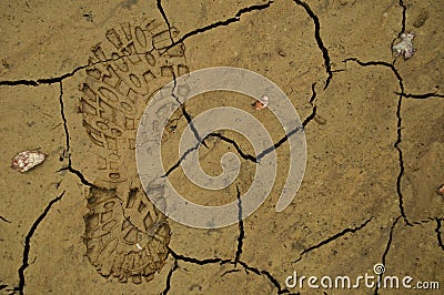 Shoe footprint in mud