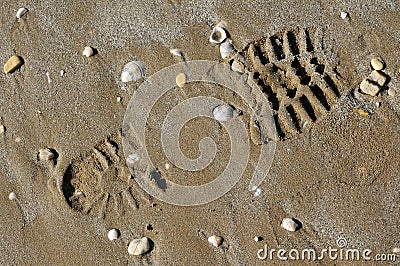 Shoe print in the sand