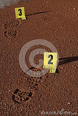 Shoe Tracks at Crime Scene
