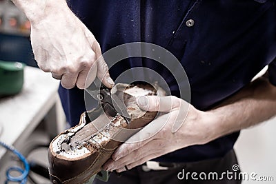 Shoemaker is repairing leather shoe.