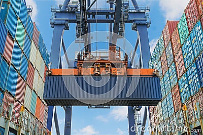 Shore crane lifts container during cargo operation in port