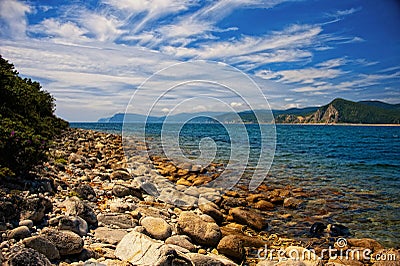 Shore of island Petrova