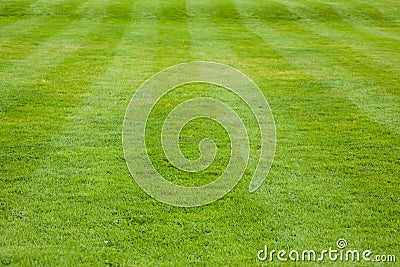 Short cut grass with visible stripes