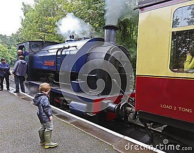 A Shot of the Princess Steam Train