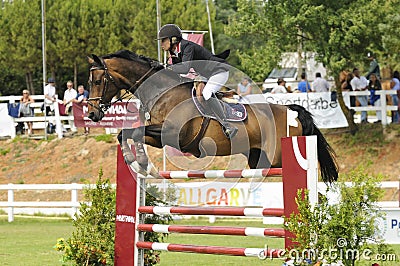 Show jumping