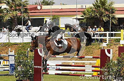 Show jumping