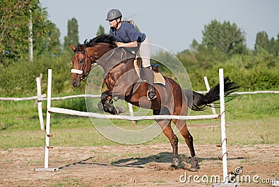 Show jumping