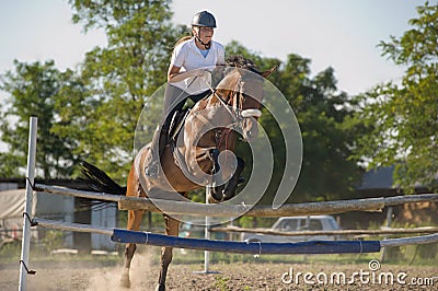 Show jumping