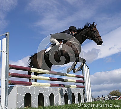 Show Jumping