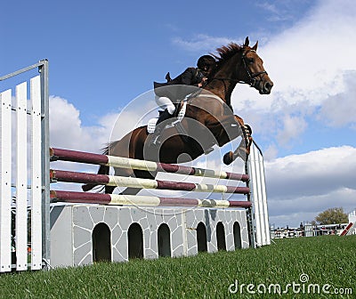 Show Jumping