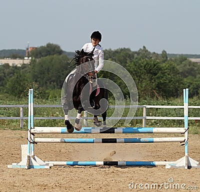 Show jumping