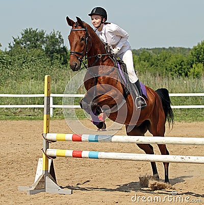 Show jumping