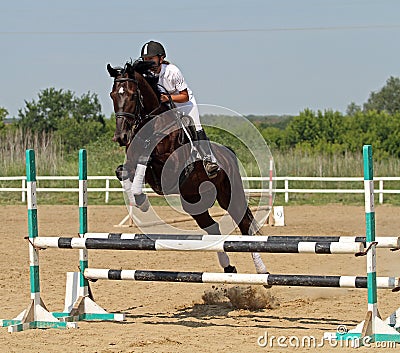 Show jumping