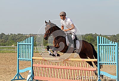 Show jumping