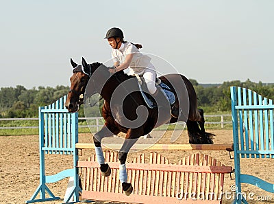 Show jumping