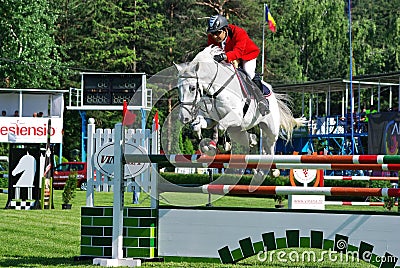 Show jumping horse