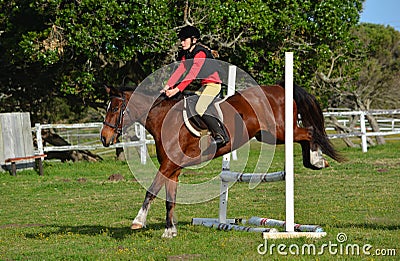 Show jumping horse and rider