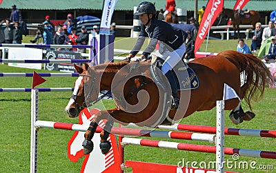 Show jumping horse and rider