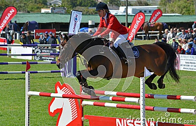 Show jumping horse and rider