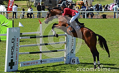 Show jumping horse and rider