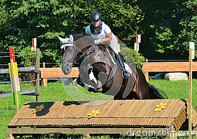 Show Jumping