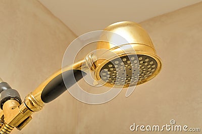 Shower Head