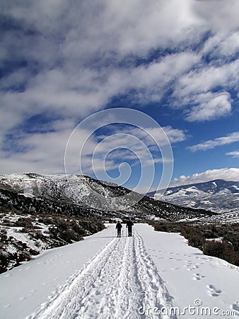 Showshoers hike up a snow covered road