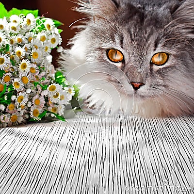 Siberian fluffy cat with camomile