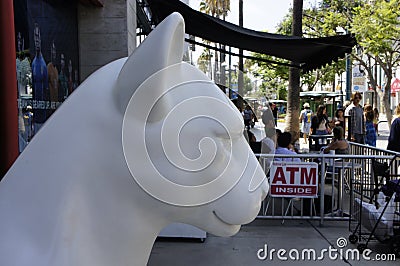 Side View Of A White Lion Head