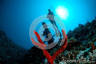 Silhouette of female scuba diver