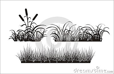 Silhouette of grass