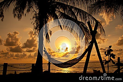 Silhouette of hammock and palm tree