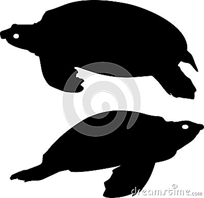 Silhouette of turtles