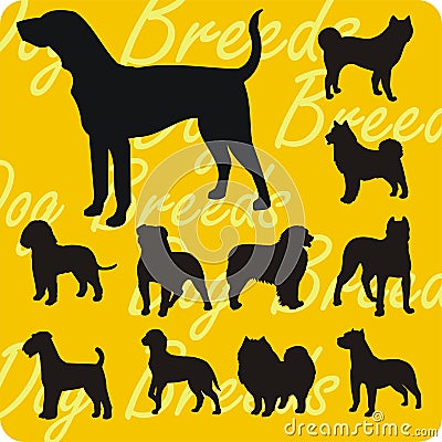 Silhouettes of Dogs - vector set.