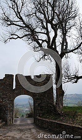 Silhouettes of old gate and bare tree