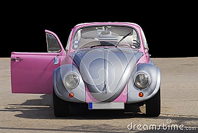 Silver Plated and Pink Beetle