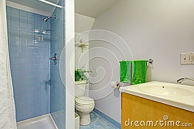 Simple bathroom interior in light blue tones