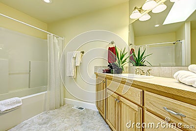  Free Stock Photos: Simple large bathroom with tub and wood cabinets