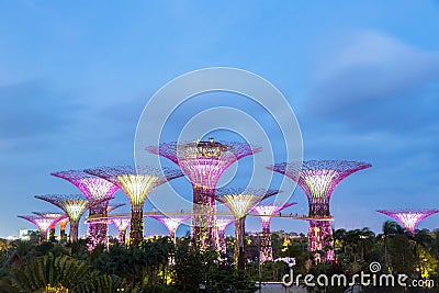 Singapore Gardens by the Bay