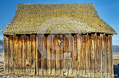 Singel old barn rotting in the sun