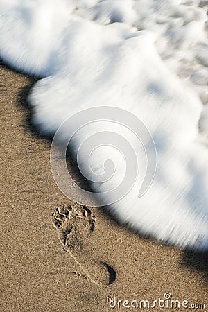 Single Foot Print in the Sand