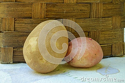 A single organic Russet and single red potato sit up against a w