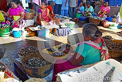 SIOLIM, GOA, INDIA - CIRCA DECEMBER 2013: An elderly woman sells