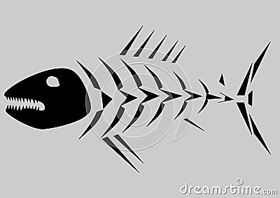 Skeleton of fish