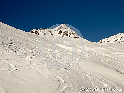 Ski and snowboard traces in the deep powder snow