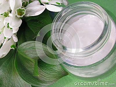 Skin cream and white spring flowers