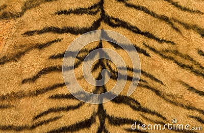 Skin s texture of tiger