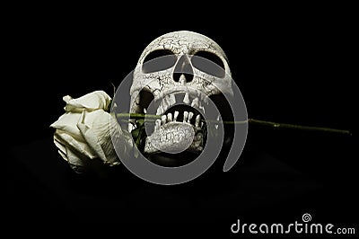 Skull with rose between teeth