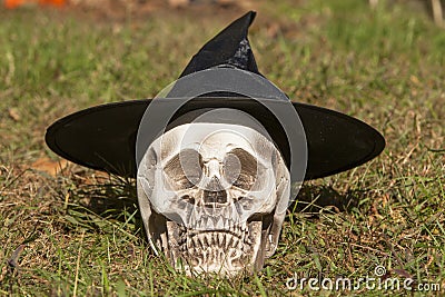 Skull wearing a witches hat