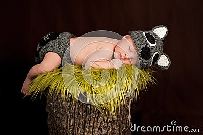  - sleeping-newborn-baby-boy-wearing-raccoon-costume-29080493